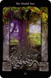 Sacred Circle World Tree card