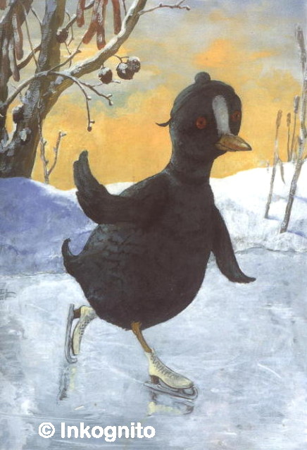 coot ice-skating