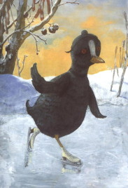 coot ice-skating