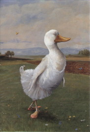 white duck wearing ballet-shoes and tutu