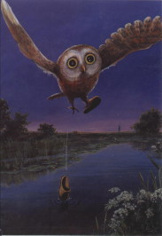 owl wearing slippers flying over river, dropping one slipper