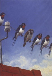 five swallows and one sparrow sitting on a telephone-wire, all wearing shoes, the swallows looking a bit dubious about the sparrow