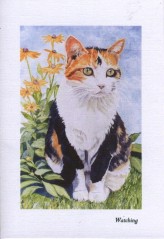 seated tortoiseshell with wild flowers