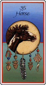 Medicine Cards Horse card