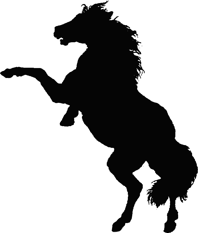 silhouette of rearing horse