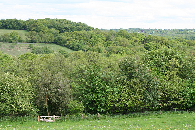 view of wooded hills and valley