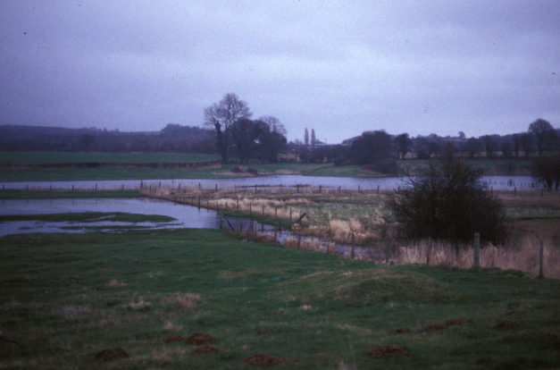 view across a piece of rough grassland at dusk, sparsely dotted with trees and crossed by a stream which has spilled over to fill a ring-shaped depression