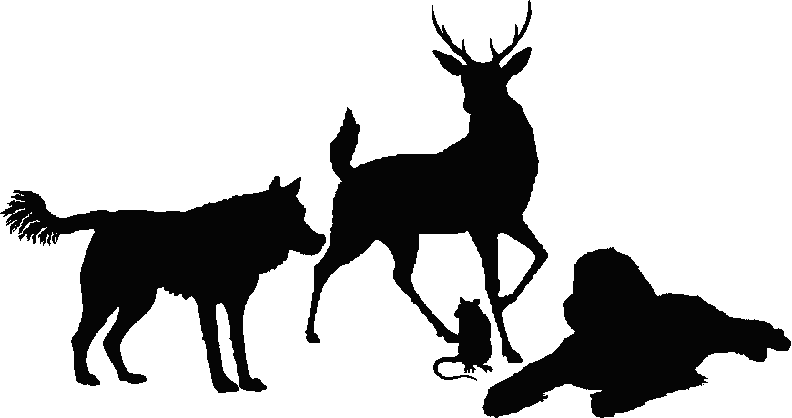 silhouette of a young red stag, a reclining Newfoundland, a rat and a wolf with a blunt snout and a tufted tail