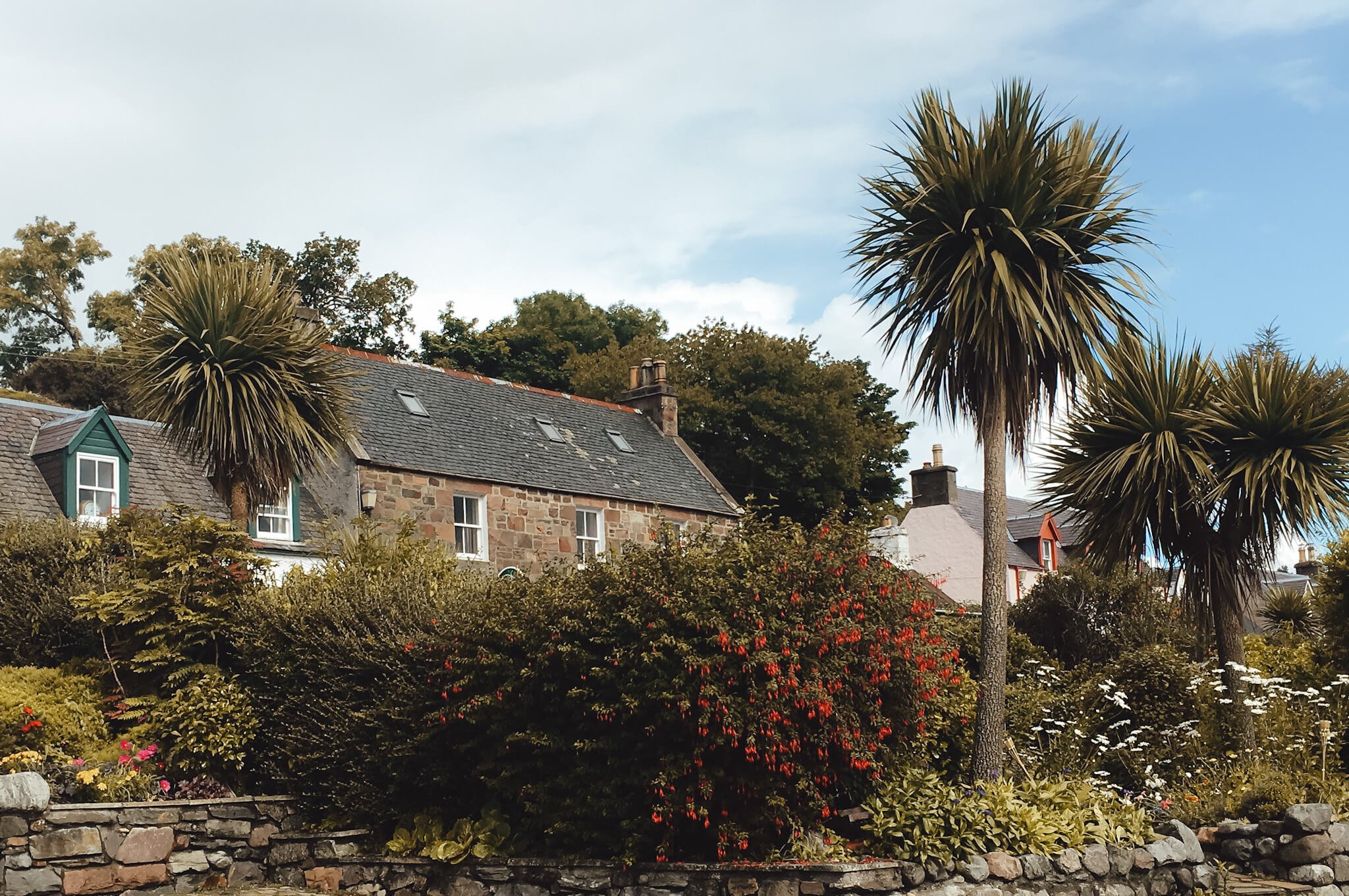 Photo of grey houses on a hillside, with palm-like trees in front