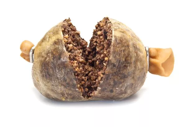 photo of haggis, split open