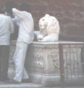 Lifesized white marble lion reclining on plinth