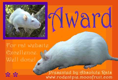 Absolute Rats Award for rat website excellence