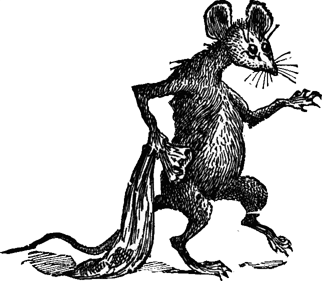 Black and white drawing of ship rat, on hind legs, tiptoeing off carrying length of cloth