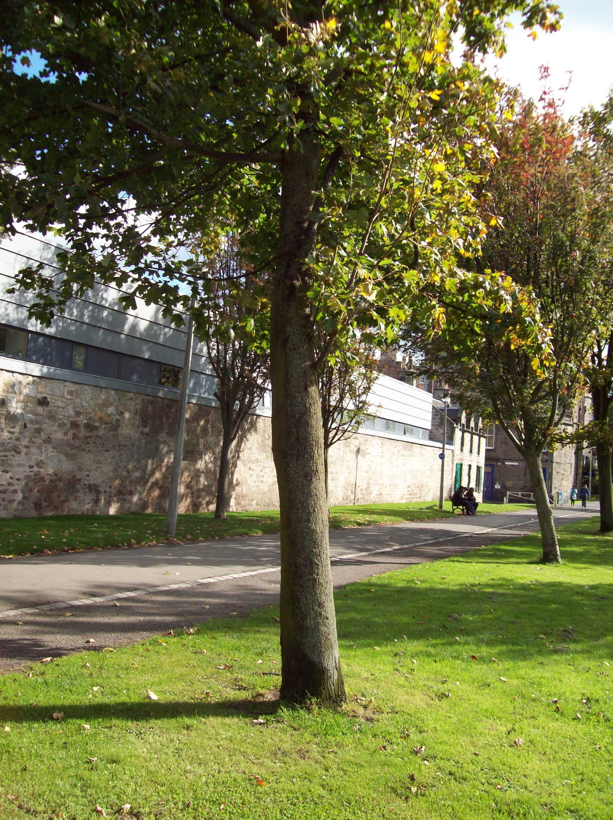 photo\' showing a diagonal view of a long single-storey stone wall with part of a modern building showing above it, and a small 18th C house beyond it and trees and a lawn in front