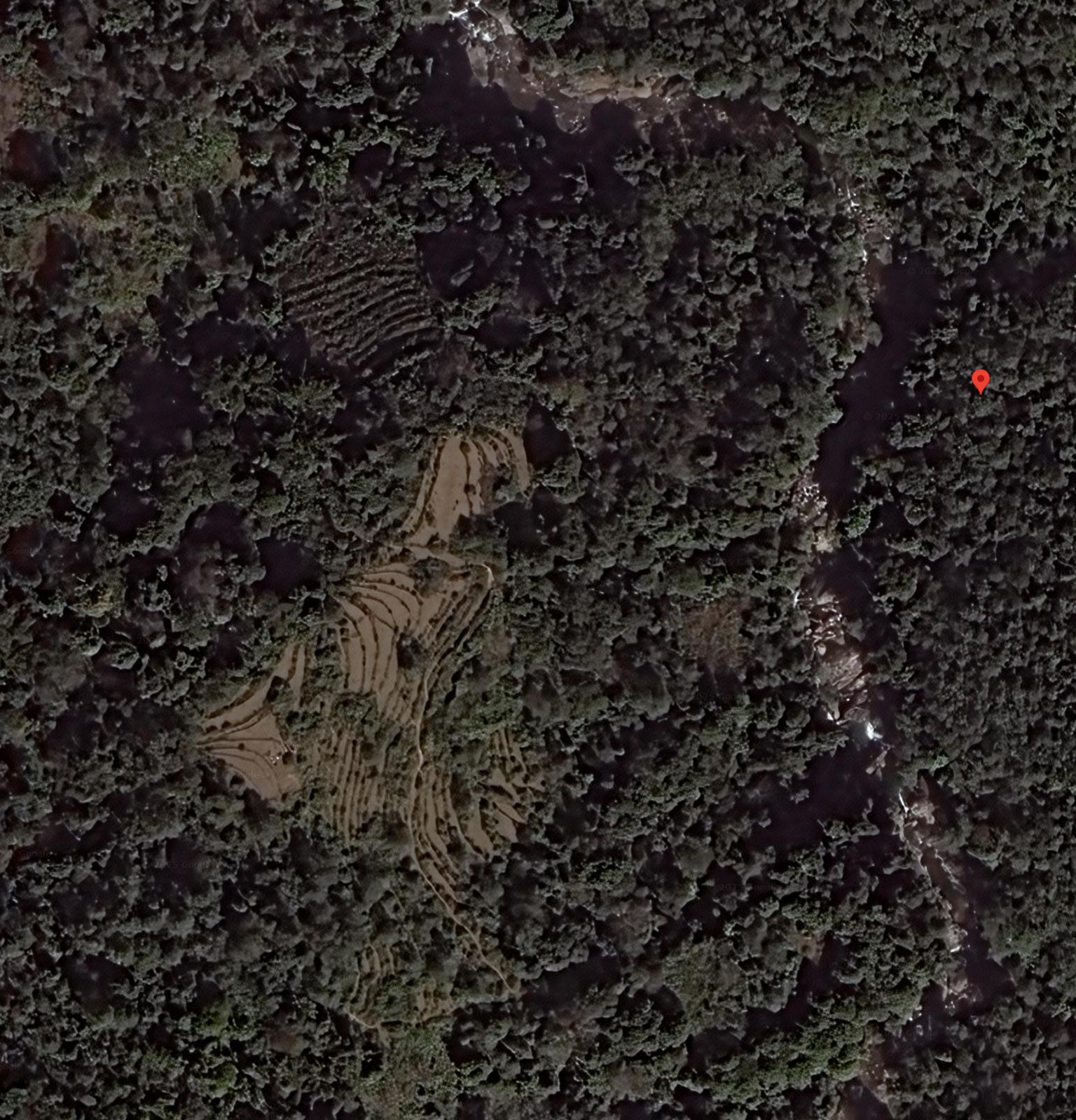 Google Maps aerial view of terraced fields being reclaimed by trees