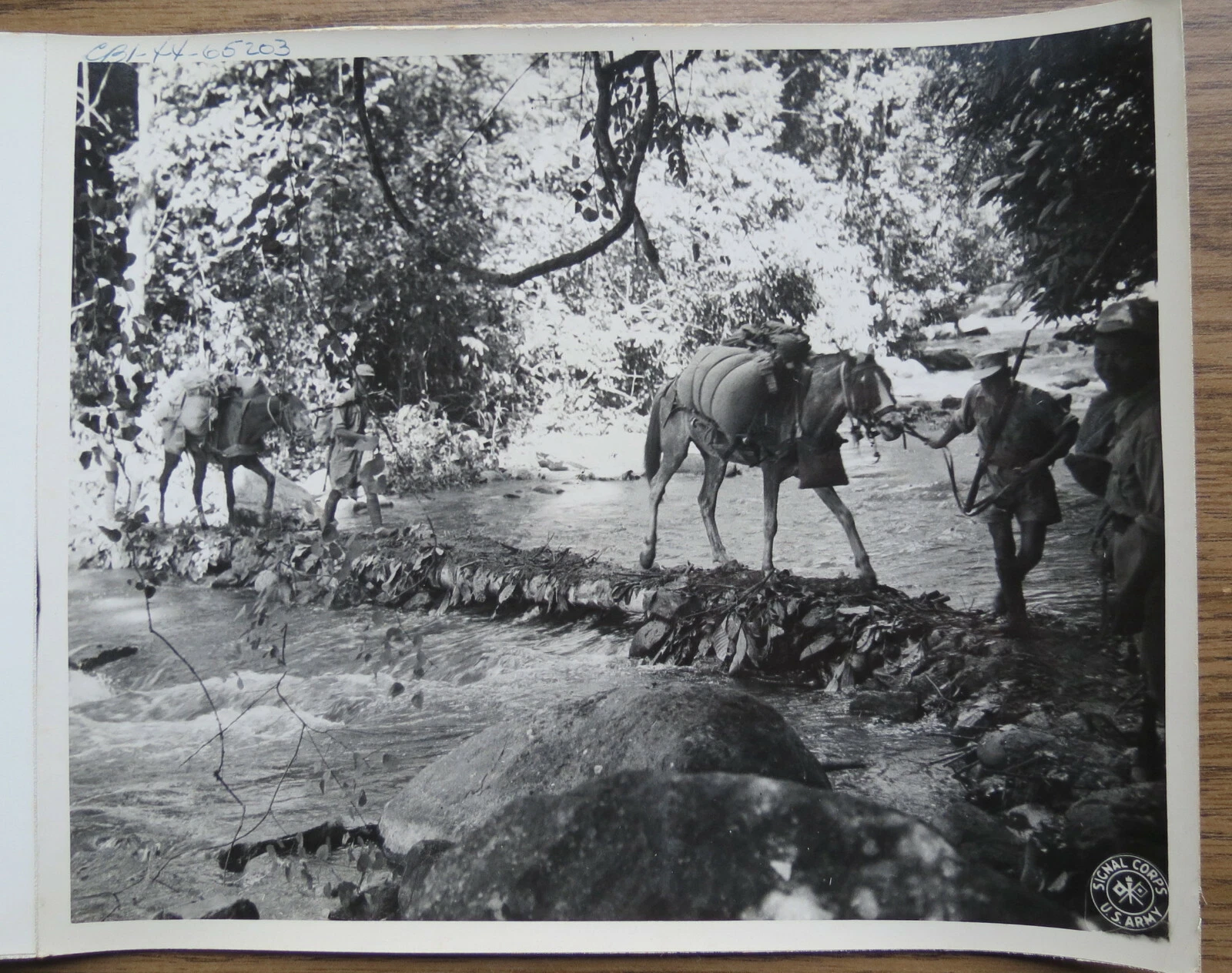 b&w photo of three soldiers leading two skinny pack-horses across a narrow log bridge just above the surface of a jungle stream