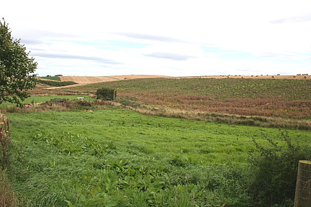 view from a rough margin of grass and bushes across rolling folds of arable land, some already cut, some with standing wheat