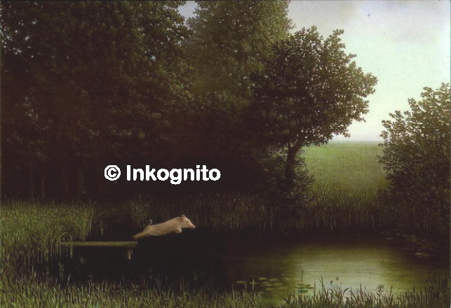 Köhler's Swine: pig jumping from jetty into pool among evening woods
