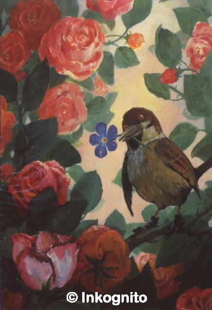 sparrow among pink roses, wearing black shoes and holding a blue flower