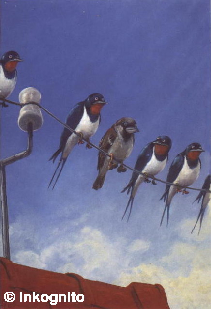 five swallows and one sparrow sitting on a telephone-wire, all wearing shoes, the swallows looking a bit dubious about the sparrow