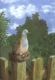 collared dove sitting in a nest on a fence-post, wearing slippers spotted like ladybirds, which a real ladybird is peering at
