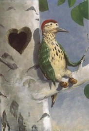 green woodpecker wearing brown shoes, lounging next to heart-shaped hole in tree-trunk