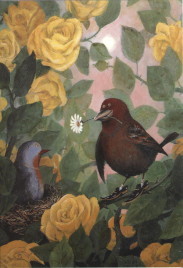 pink-breasted dove on nest among yellow roses, with unidentified brown bird wearing black shoes and offering her a daisy