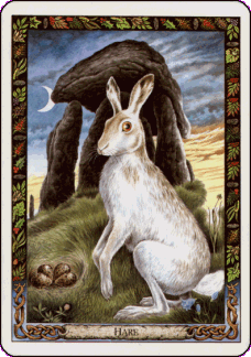 Druid Animal Oracle Hare card