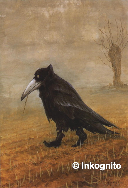 crow trudging across muddy field wearing tatty old-fashioned black boots