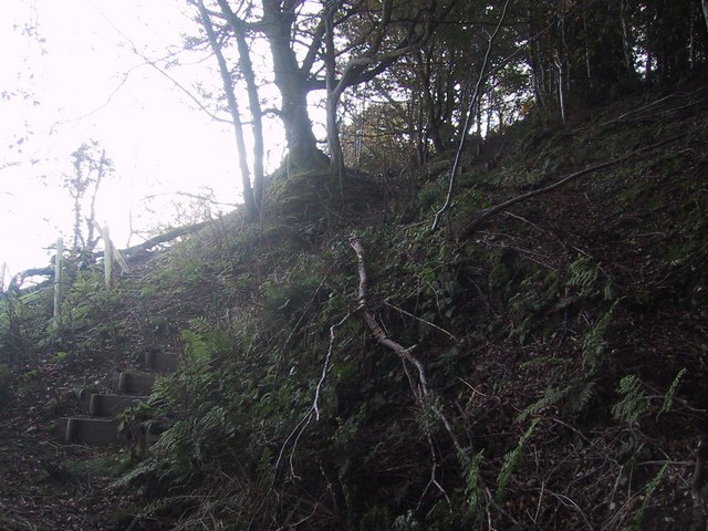 view of wooden steps climbing the side of steep, thickly wooded hill