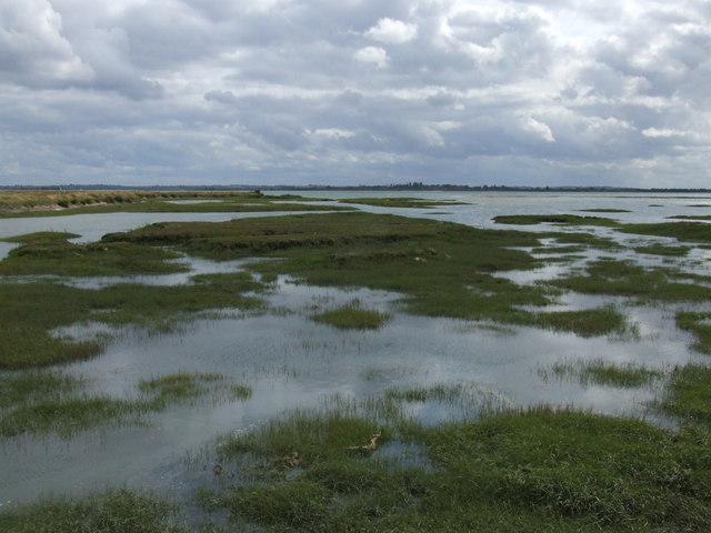 low islands rising from shallow water