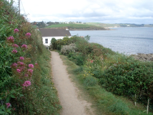 flower-lined clifftop path leading to white cottage