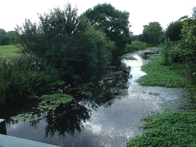 small, quiet river among trees and green meadows