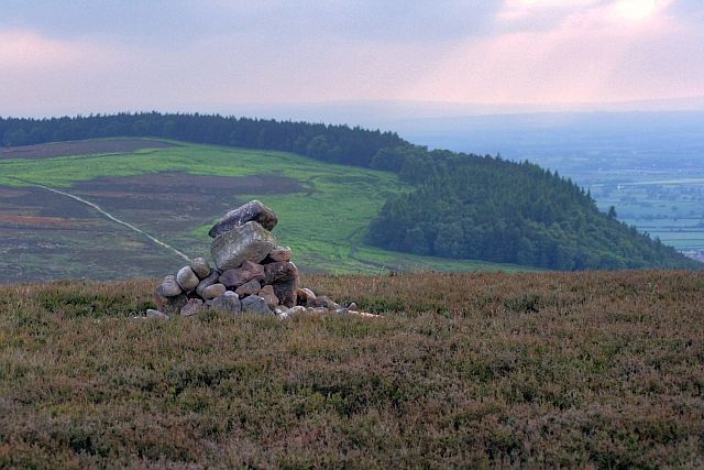 view across heathery slope and a small cairn towards green slope rising towards connifers with a sharp drop beyond them