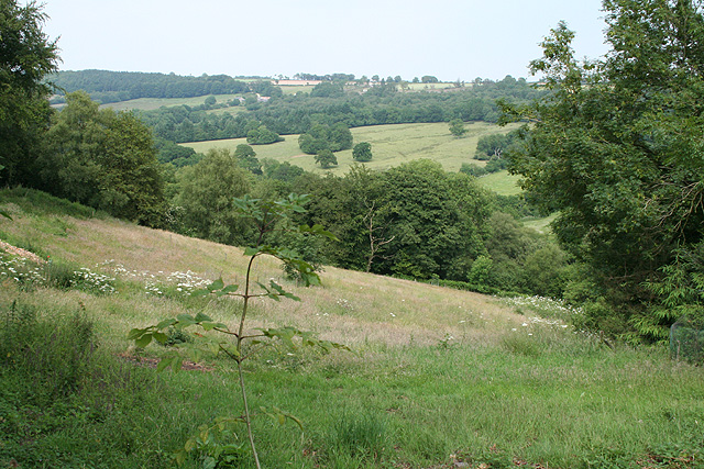 view of wooded hills and valley