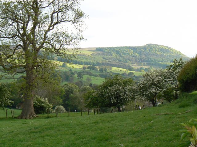 view of rolling farmland with high, tree-crowned rise in the background