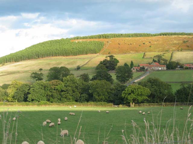 view across small farm towards high slope clad with trees a swathe of which have been cut away
