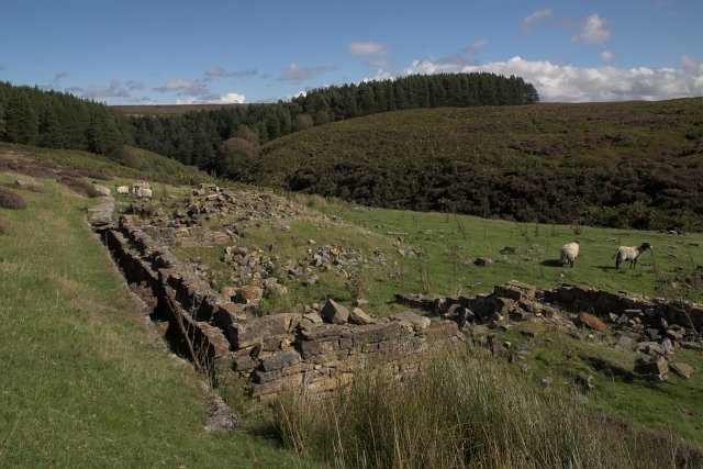 view across ruined foundations of small building, with rolling land, a deeply-incised stream and conifers in the background
