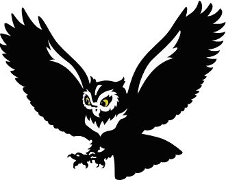 humorous-looking black-and-white owl coming in to land
