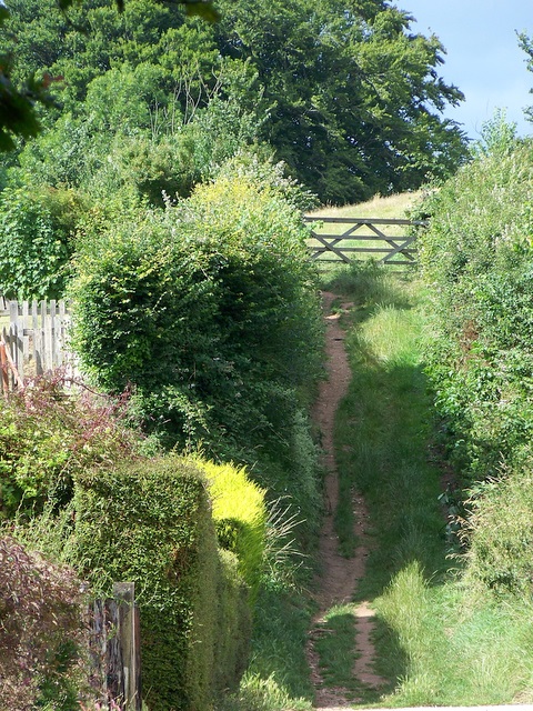 view of start of steep footpath