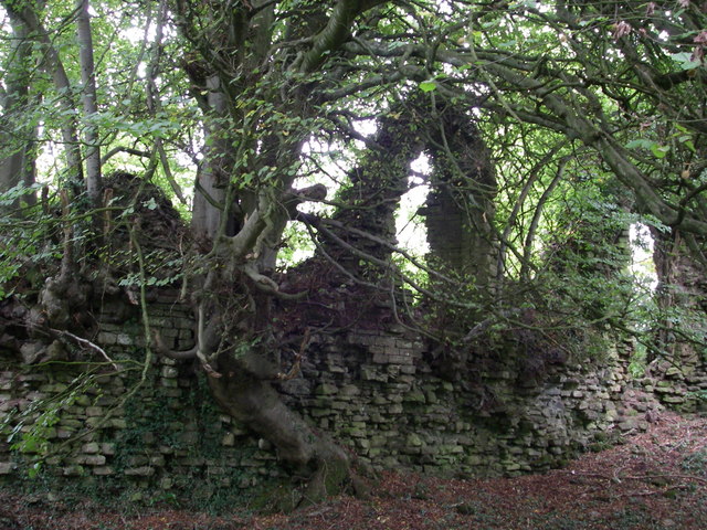 the ruins of a stone wall with an arch sticking up out of it, and trees growing through the stonework