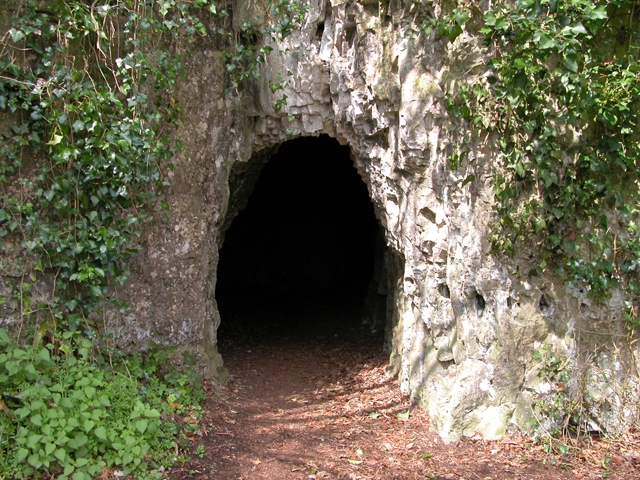 dark, evenly arched tunnel floored with red earth, leading into a wall of greyish-white stone: ivy is draped down the stone and there is a small fluffy green ground-cover plant at the foot of the wall to the left of the tunnel