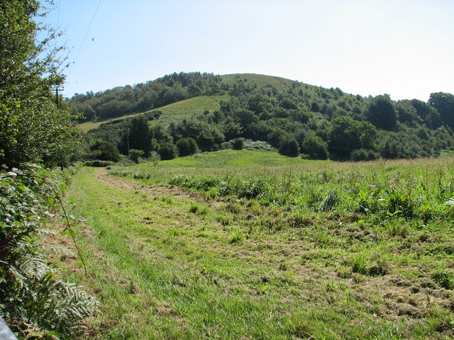 view across rough grass towards a high rounded hill patched with woodland