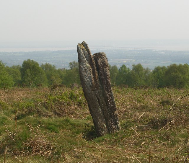 small, irregular, leaning standing stone surrounded by rough heath, beyond which is a ring of trees and then a drop down to a landscape far below, with water in the distance