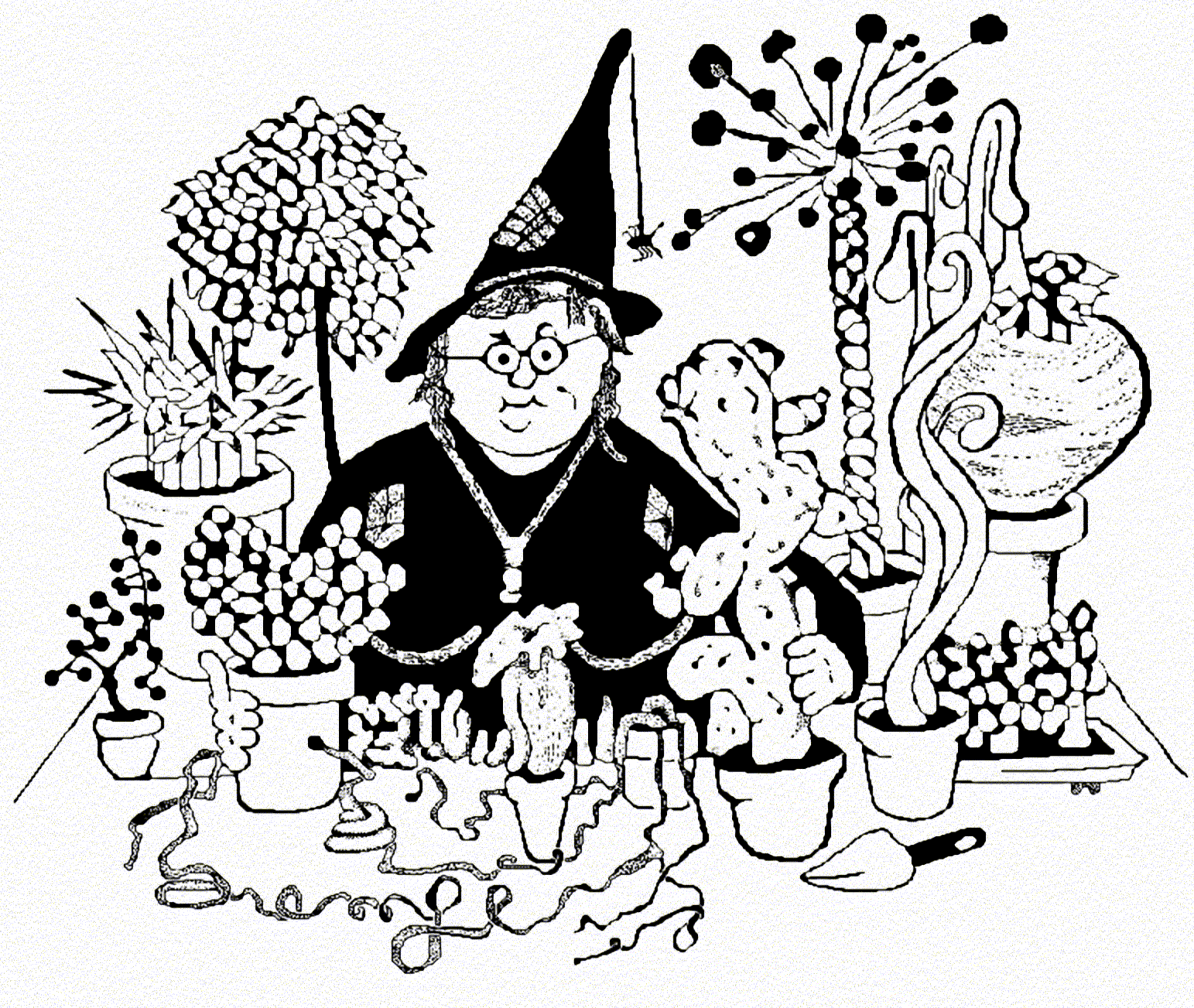 black-line drawing of a stout, round-faced woman in round wire spectacles, wearing black robes and a battered witch\'s hat with a spider hanging off the brim, standing behind a bench covered in pots containing strange plants