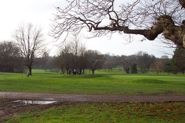 view across a green golf-course with scattered trees: crossing the foreground is a very thick, gnarled tree-limb