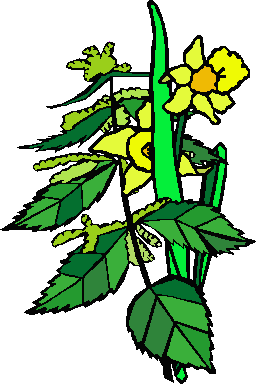 clipart showing two daffodils and a sprig of stinging nettle intertwined