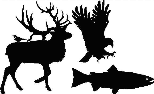 silhouettes of an ousel, a stag, an eagle and a salmon