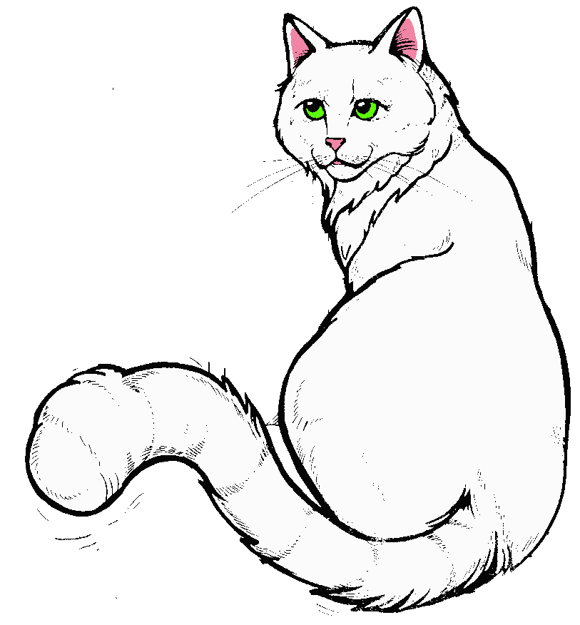 drawing of longhaired white cat, sitting with its back to the audience and looking back over its shoulder
