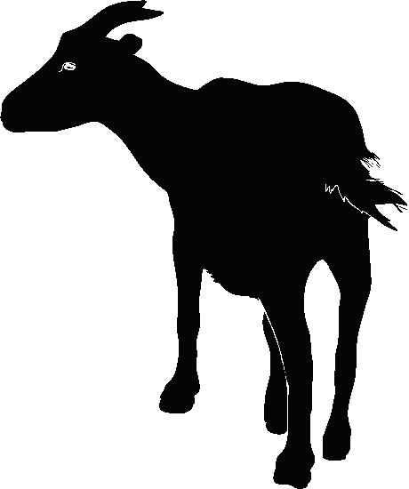 silhouette of a nanny goat with small horns, standing with her rump towards the viewer